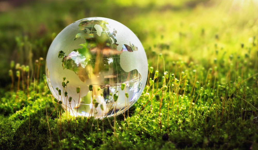 Green Globe On Moss - Environmental Concept