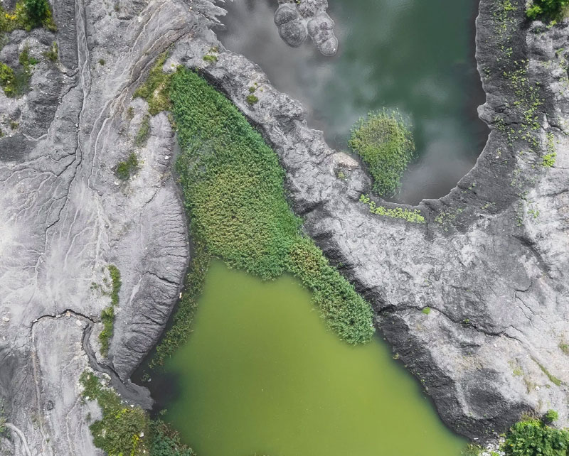 sustainability-photo